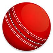 Cricket Now 1.0