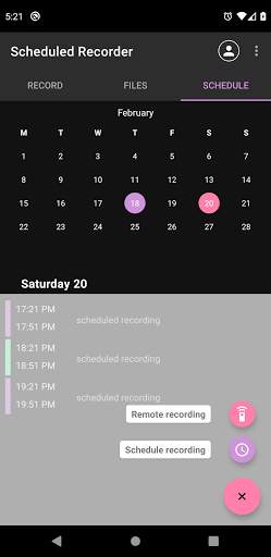 Scheduled Recorder (spy recorder) screenshot 6