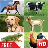 Animals Sounds icon