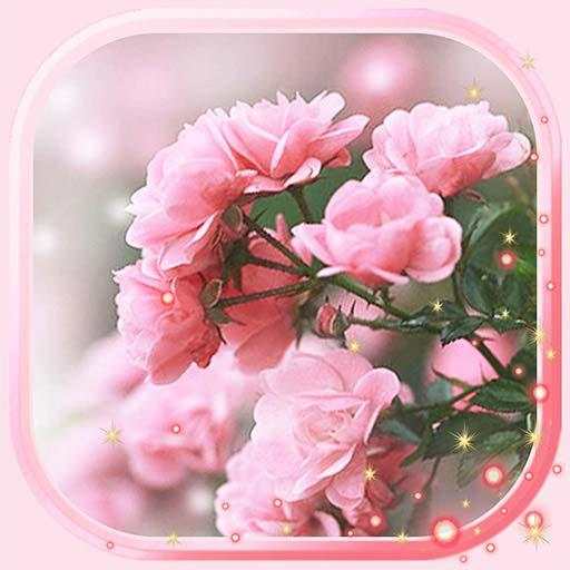 Spring Rose Best Live Wallpaper 1.3