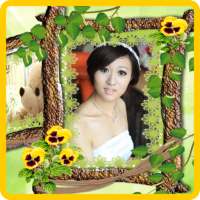 Natural Photo Frames