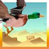 Sahara Desert Bird Simulation 1.0