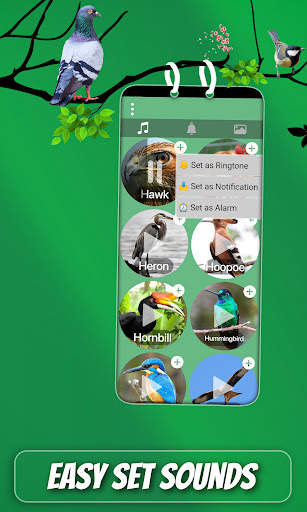 Bird Sound And Ringtones screenshot 5
