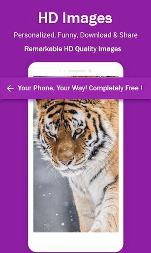 Tiger Hd Wallpapers screenshot 4