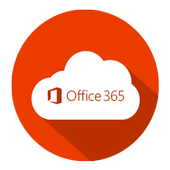 Ms Office 365 Key icon
