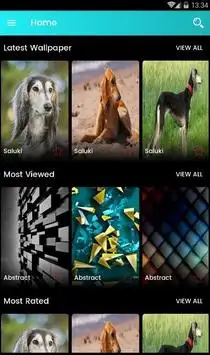 Saluki Dog Wallpaper screenshot 1
