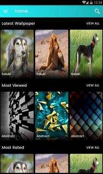 Saluki Dog Wallpaper screenshot 1