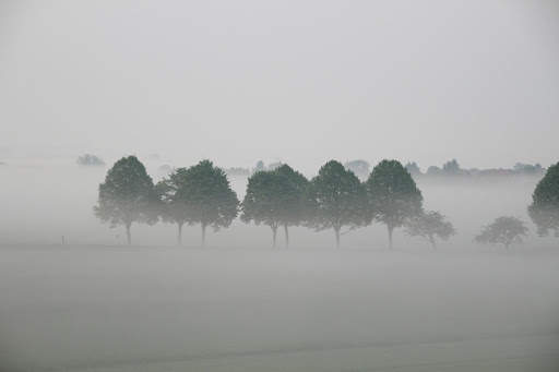 Fog Photo Frames screenshot 4