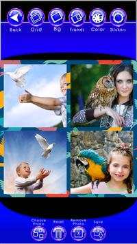 Birds Photo Collage Maker screenshot 2