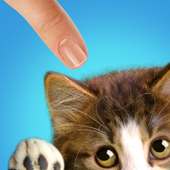 Teased Cat: Game logo