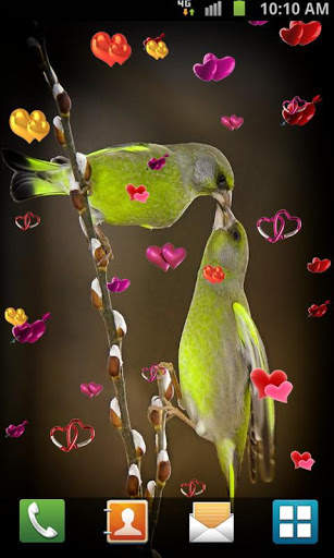 Love Birds Live Wallpaper screenshot 3
