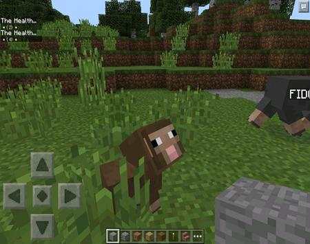 Animal Mod For MineCraft PE screenshot 4