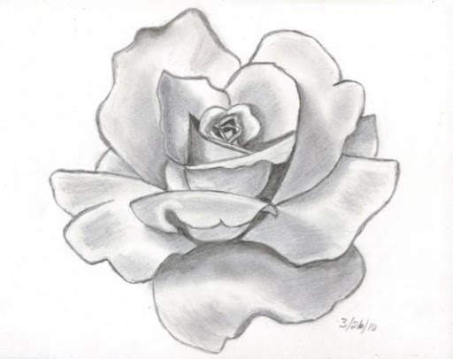Example of Drawing Flowers screenshot 1