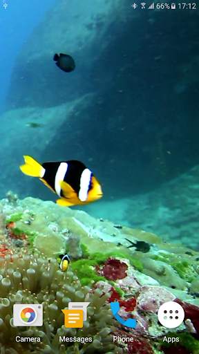 Colorful Fishes Live Wallpaper 8 تصوير الشاشة
