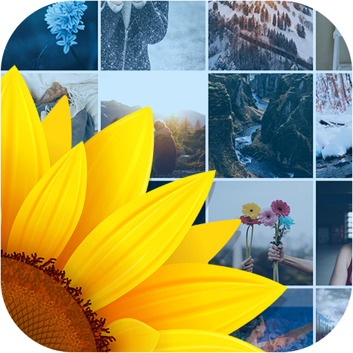 Gallery icon