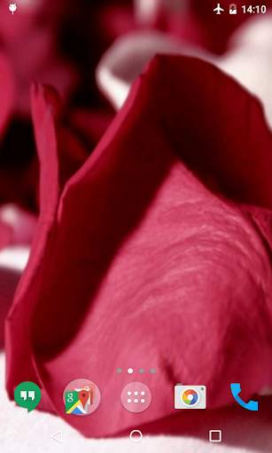 Petals 4K Video Live Wallpaper screenshot 4