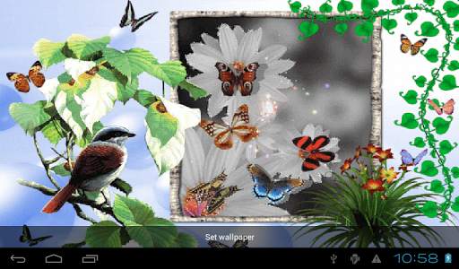 Animated 3D Butterfly screenshot 8