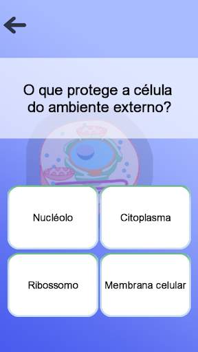 Anatomia screenshot 7