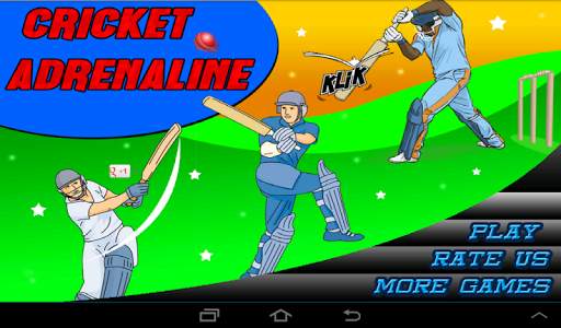 T20 Cricket Blast 2014 screenshot 1