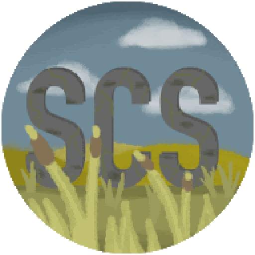 Saluki Corporation 1.1