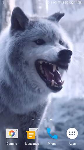 Wolf Video Live Wallpaper screenshot 2