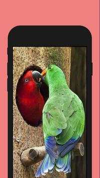 Birds ColorbyNumber - Coloring Book screenshot 5