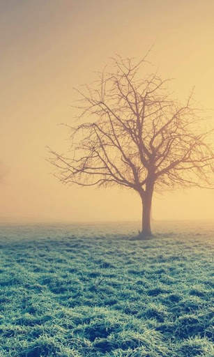 Mystic Night Live Wallpaper : 7fon & LWP screenshot 3