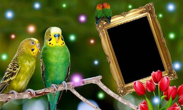 Love Birds Inst Profile Maker - Photo Frame screenshot 3