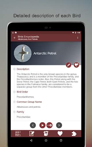 Birds Encyclopedia Offline App screenshot 12
