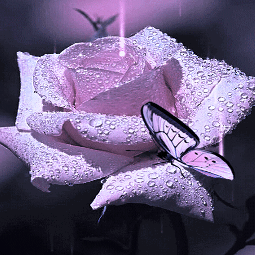 Purple Rose Butterfly LWP иконка