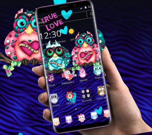 Cartoon Colorful Love Owl Theme 6 تصوير الشاشة
