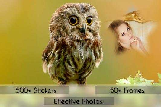 Birds Photo Frames screenshot 5
