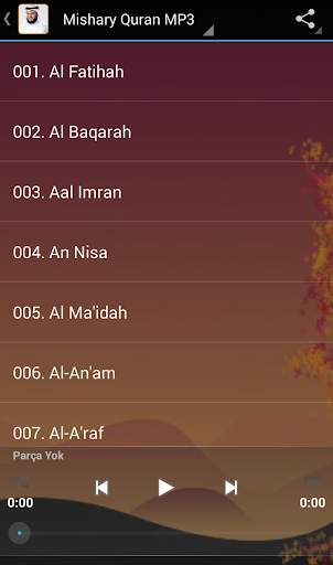 Listen Quran  (OFFLİNE) screenshot 2