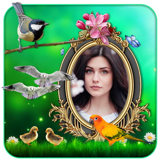Birds 3D Live Wallpaper icon
