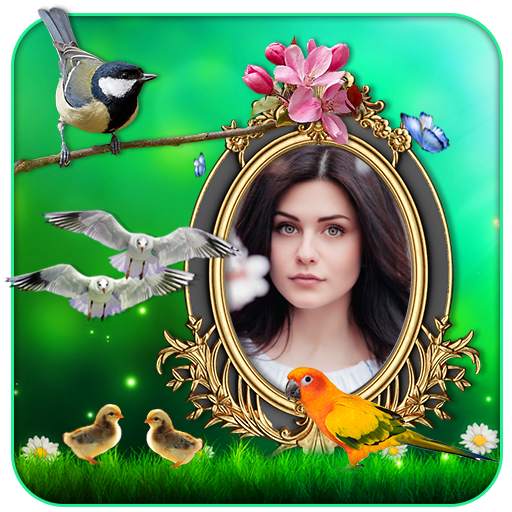 Birds 3D Live Wallpaper 10.9