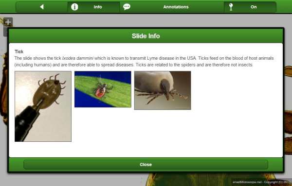 smart Microscope Lite screenshot 10