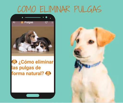 🐶 Free Dog Home Remedies 🐶 screenshot 2