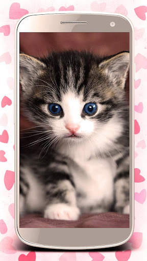 Cute cats live wallpaper. Cute dogs, unicorns screenshot 3