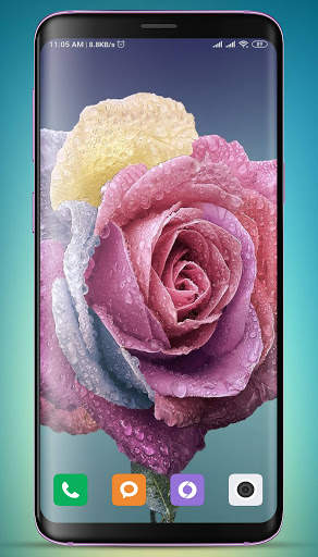 Rose Wallpaper HD screenshot 3