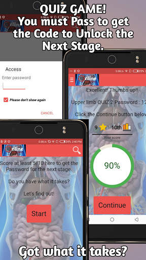 ONLINE Anatomy - Videos, Quizzes and Chats. screenshot 4
