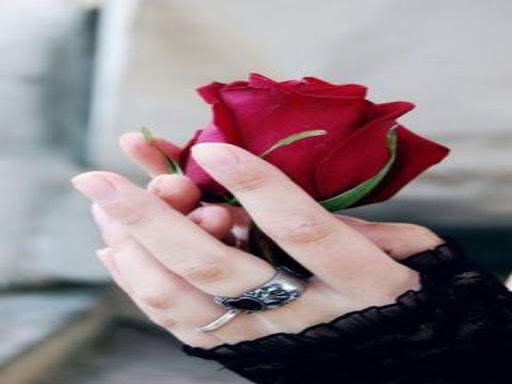 3D Red Rose Images 2020 6 تصوير الشاشة