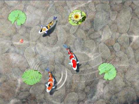 Feed the Koi fish Kids Game screenshot 5