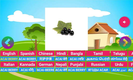 Learning Animals Fruits Vegetables Birds Meaning screenshot 2