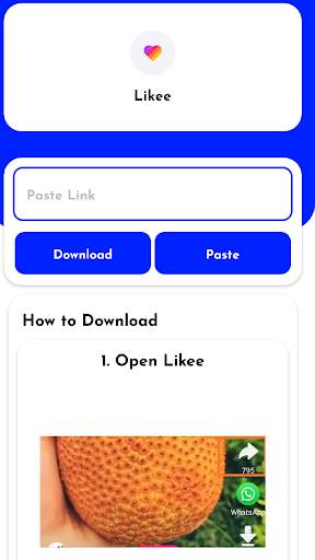 Mega Downloader screenshot 2