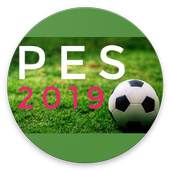 PES 19 :MANUAL 1.0