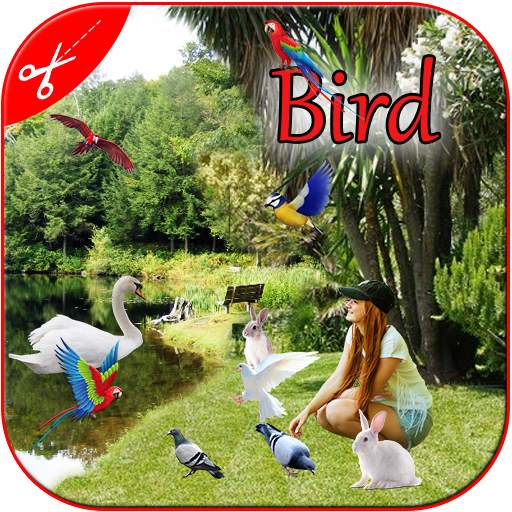 Bird Photo Frame : Cut Paste Editor 1.3