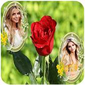Rose Dual Photo Frame 1.0.1
