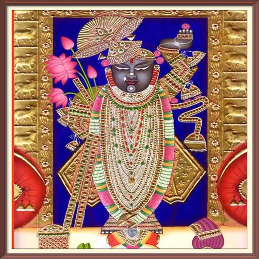 Mara Ghat Ma Birajta Shreenathji screenshot 2