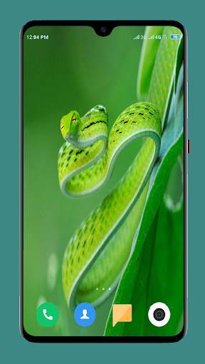 Snake Wallpaper HD screenshot 13