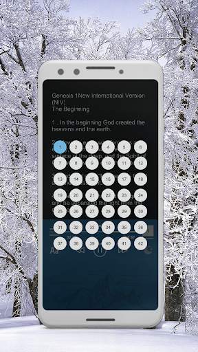 holy bible niv free screenshot 4